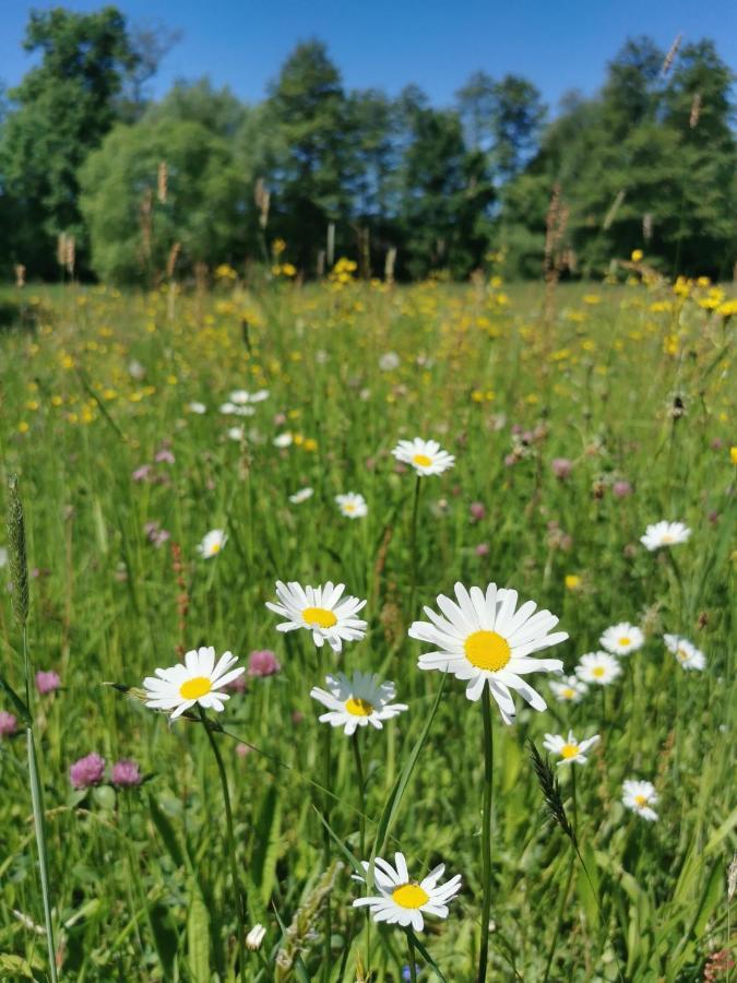 Landhotel Oelmuehle Mombris Zewnętrze zdjęcie